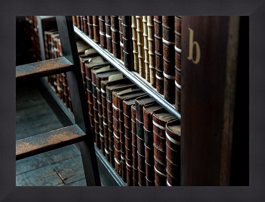 The Book of Kells Dublin Ireland  2 Picture Frame print