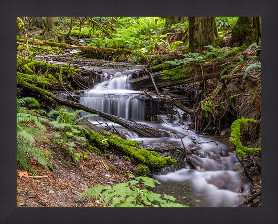 Bridal Veil Falls British Columbia Creek Picture Frame print