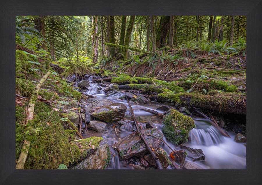 Bridal Creek Chilliwack British Columbia Picture Frame print