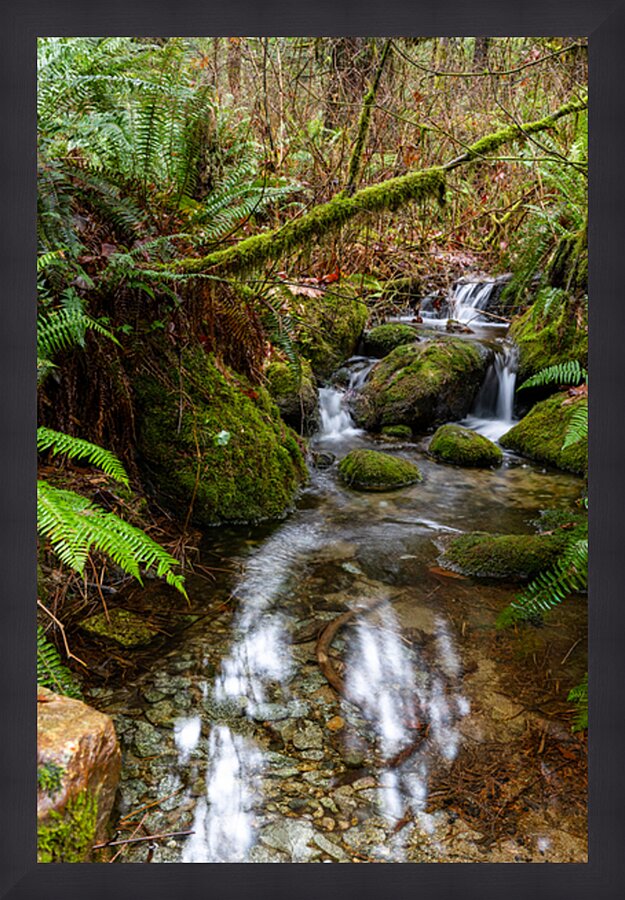 Flowing Creek at golden ears provincial Park British Columbia 2. Picture Frame print