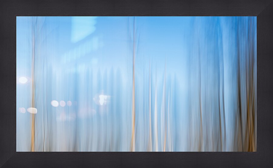 ICM of trees Picture Frame print