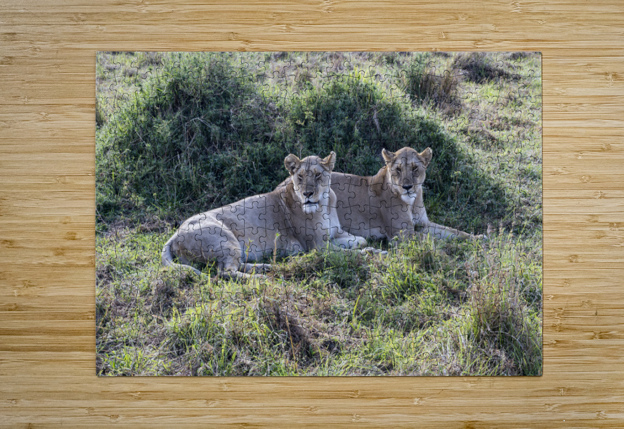 Ashnil Masai Mara Randy Roy Photography Puzzle printing