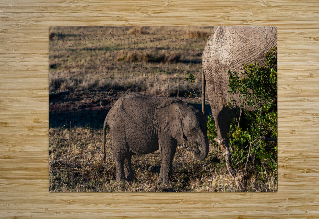 African elephant Randy Roy Photography Puzzle printing