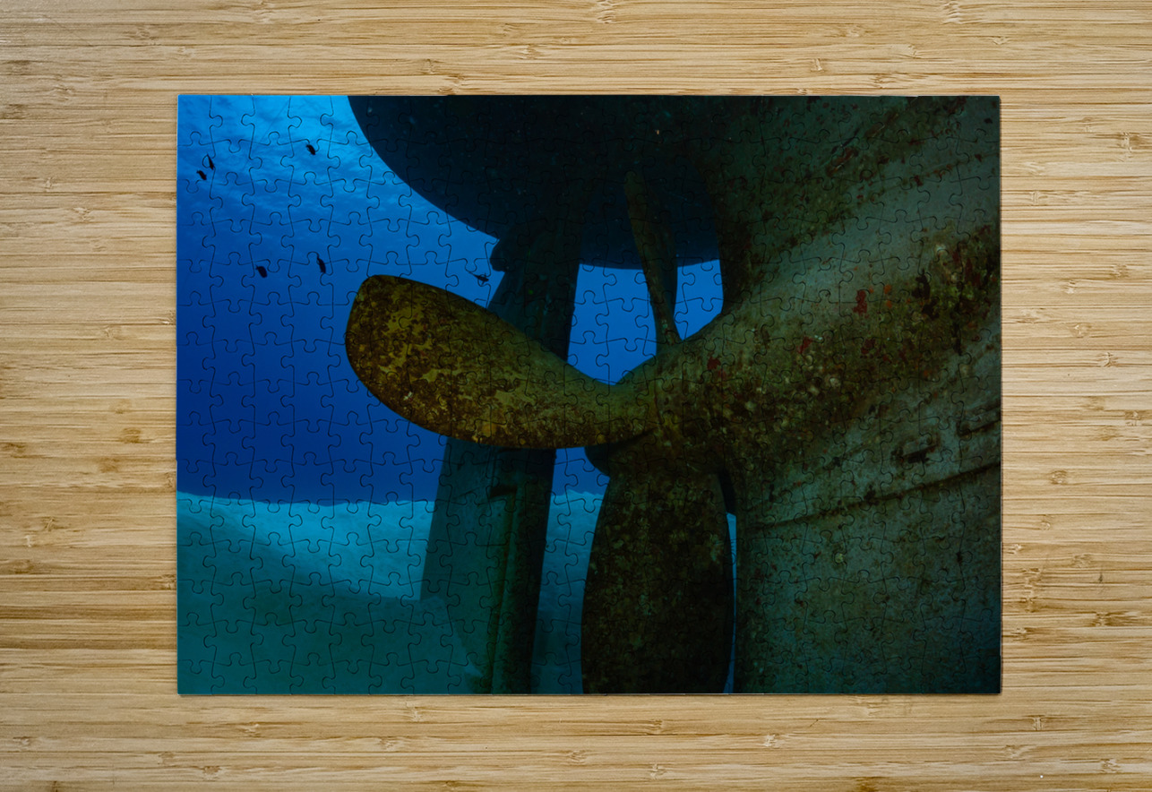 USS Kittiwake Grand Cayman Islands Randy Roy Photography Puzzle printing