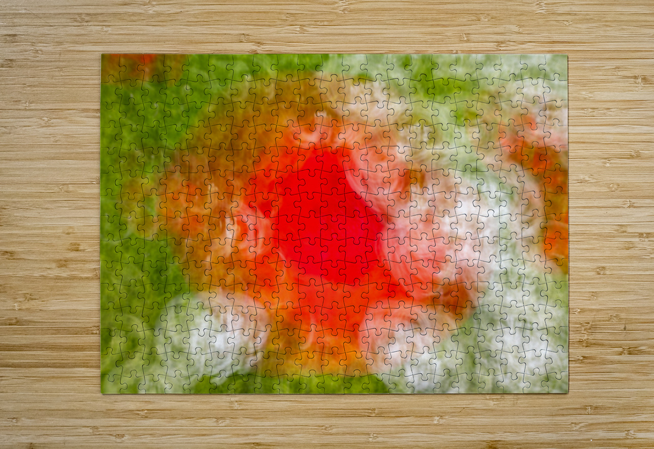 ICM of poppys Monets  Gardens Kotchi Japan Randy Roy Photography Puzzle printing