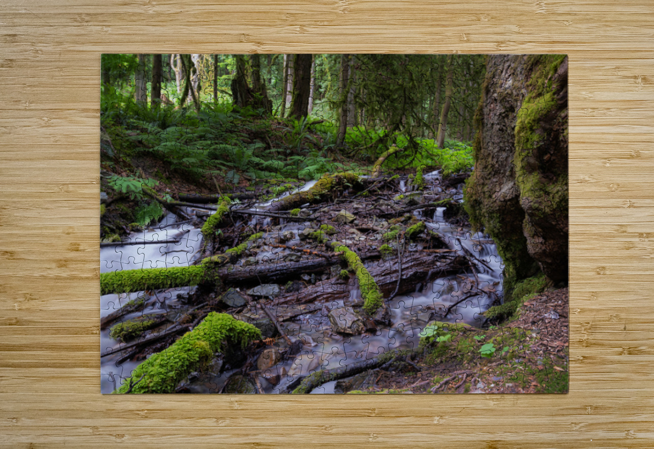 Bridal falls British Columbia creek 2 Randy Roy Photography Puzzle printing