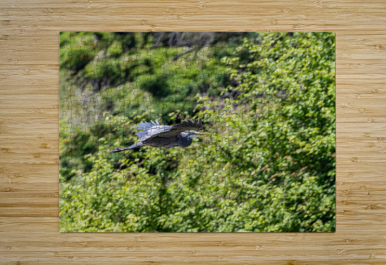 rifel bird sanctuary 2 Randy Roy Photography Puzzle printing