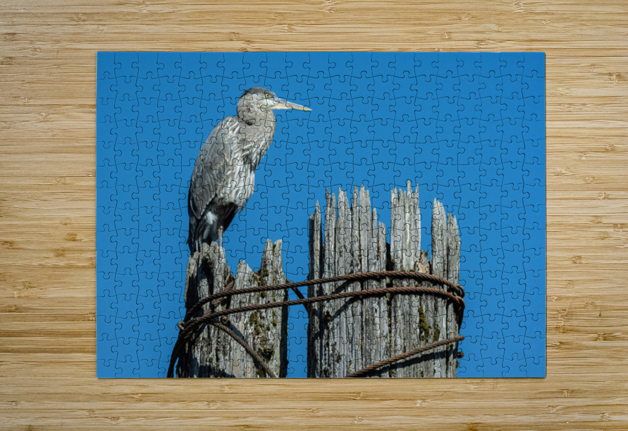 Great Blue Haron Fraser River Fort Langley 3 Randy Roy Photography Puzzle printing
