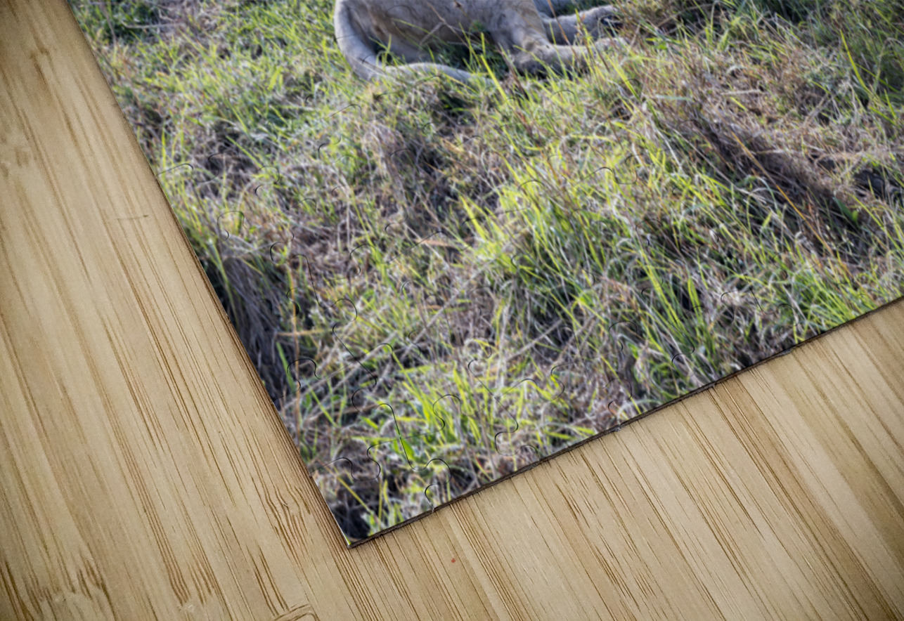 Ashnil Masai Mara Randy Roy Photography Puzzle