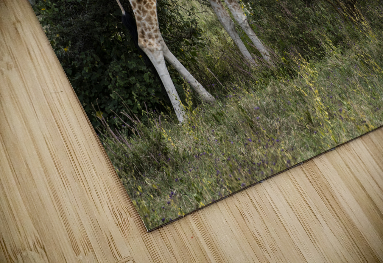 Giraffe Lake Nakuru kenya Randy Roy Photography Puzzle