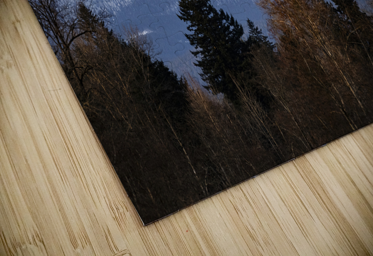 Golden Ears Provincial Park British Columbia Golden Ears Mountain Randy Roy Photography Puzzle