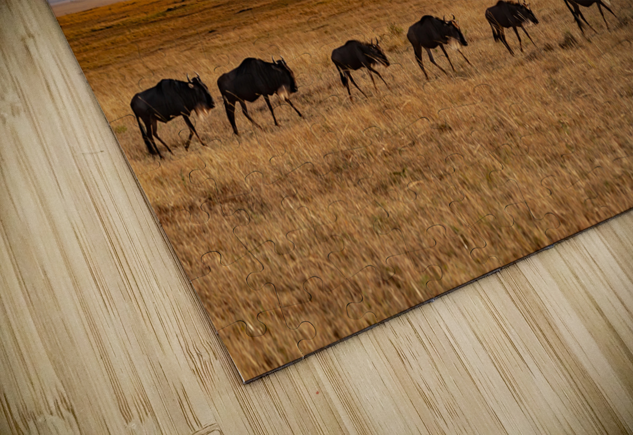 Masai Mara Randy Roy Photography Puzzle