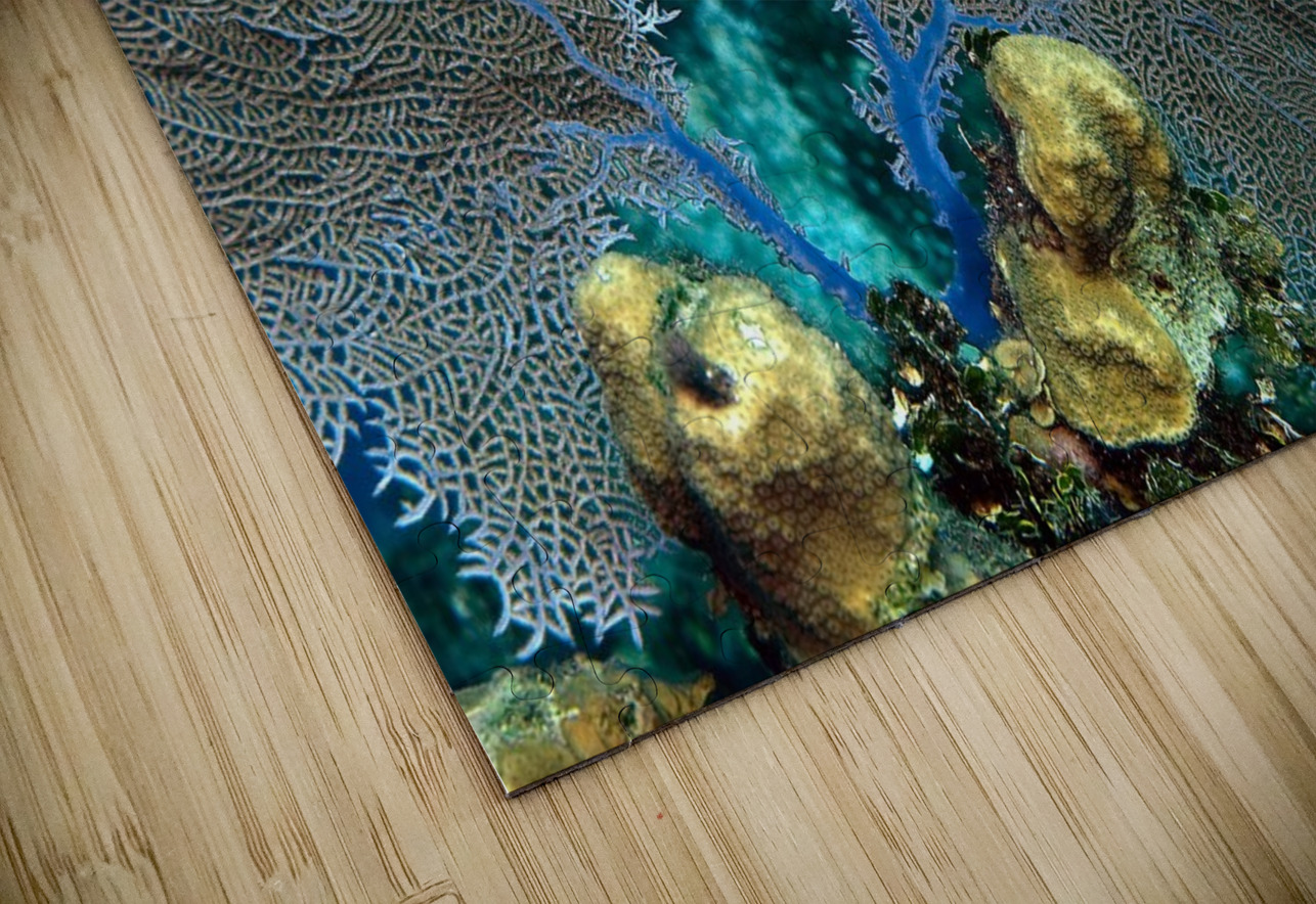 Fan coral Randy Roy Photography Puzzle