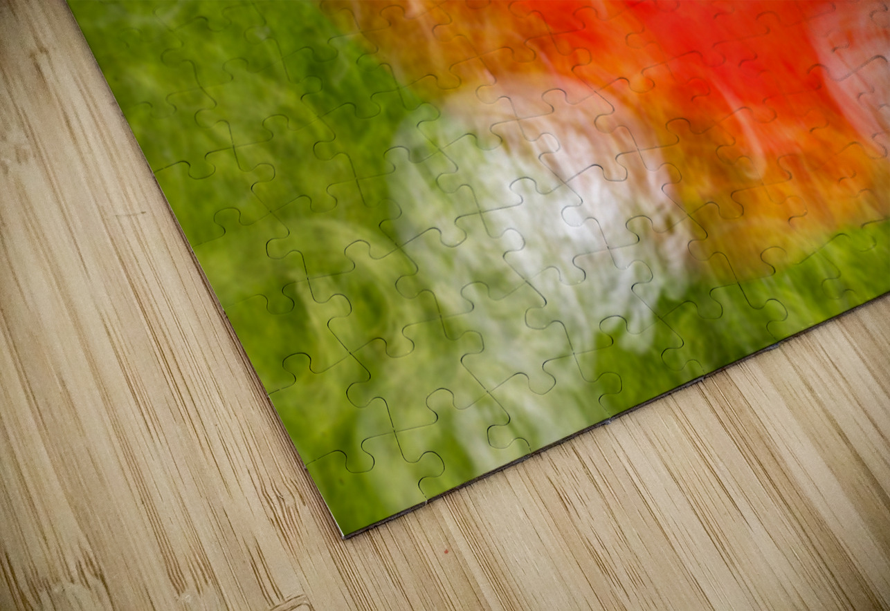 ICM of poppys Monets  Gardens Kotchi Japan Randy Roy Photography Puzzle