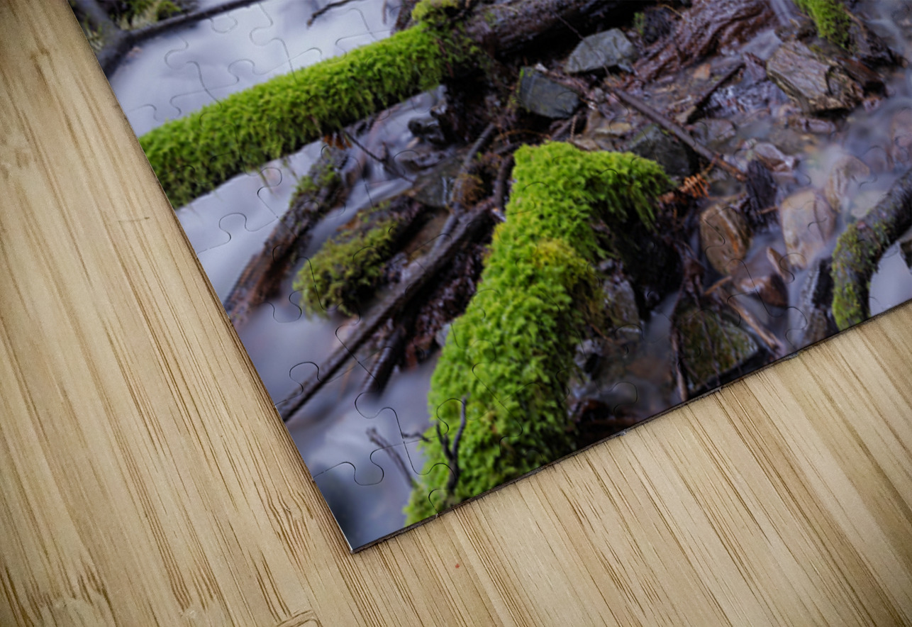 Bridal falls British Columbia creek 2 Randy Roy Photography Puzzle