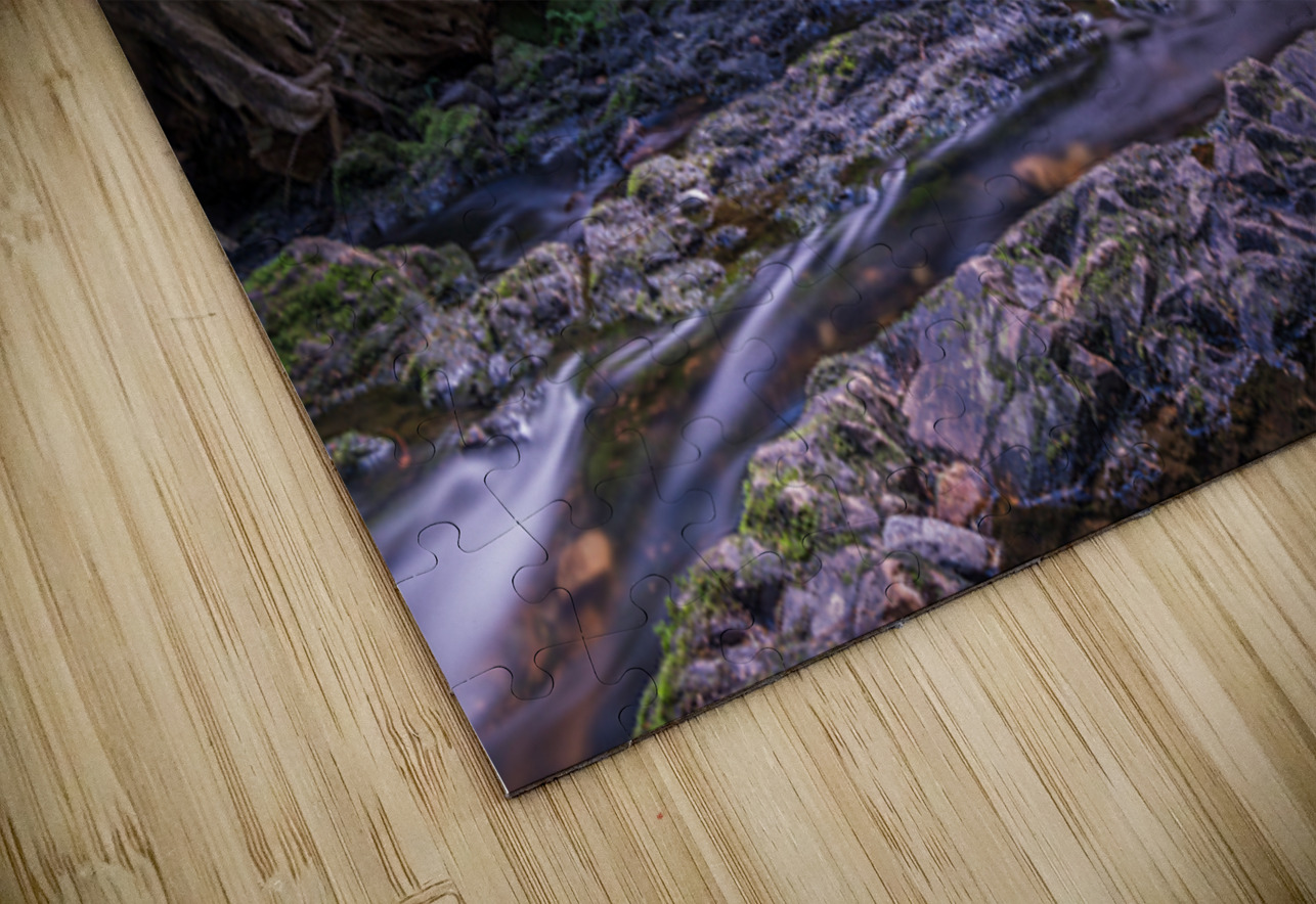 Rolley Lake falls Mission British Columbia 3 Randy Roy Photography Puzzle