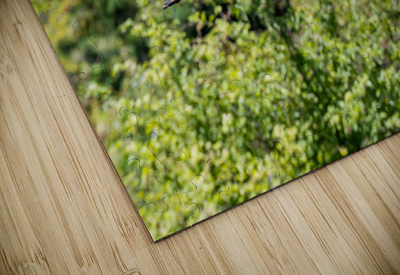 rifel bird sanctuary 2 Randy Roy Photography Puzzle