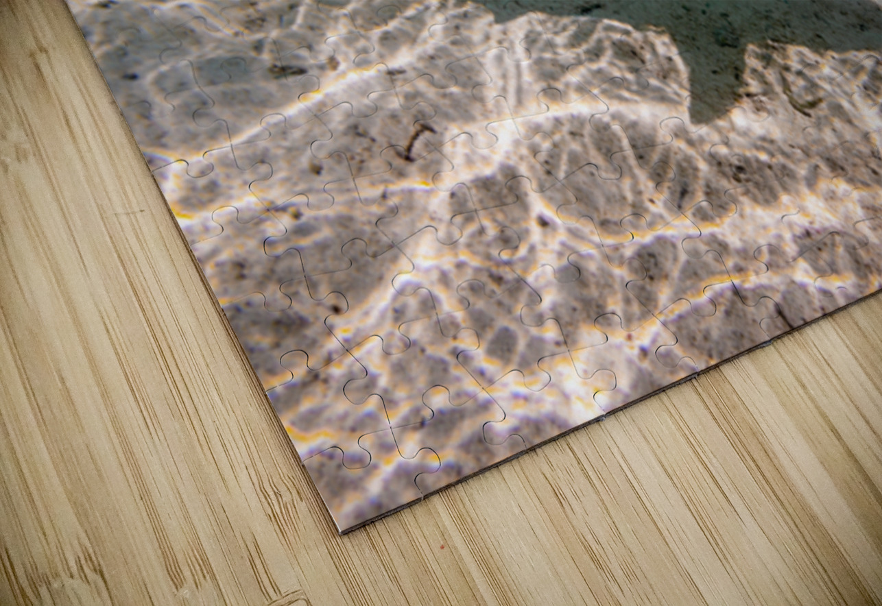 Black Tip Shark 3 Randy Roy Photography Puzzle