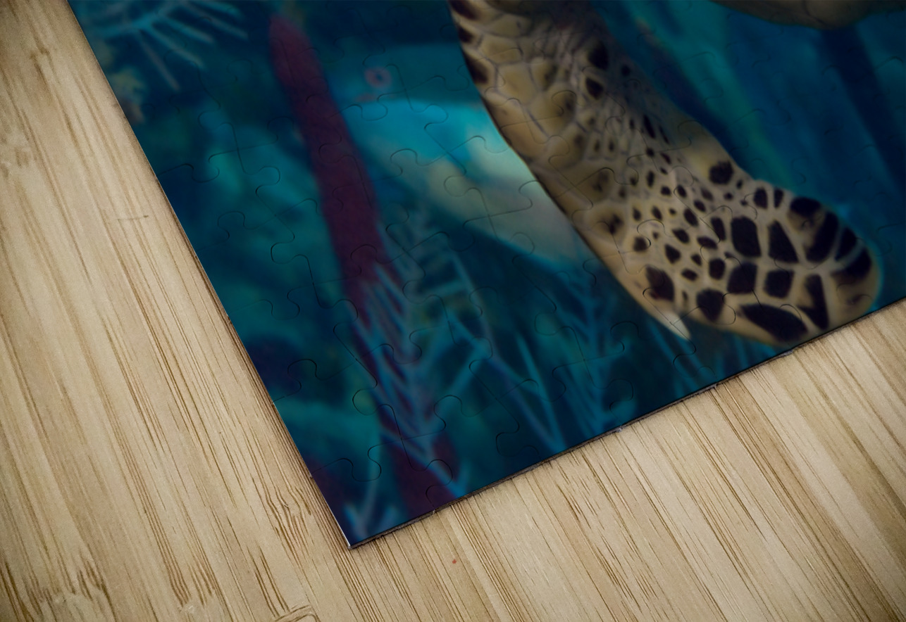 Hawksbilled turtle  Randy Roy Photography Puzzle