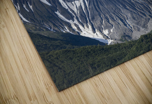 Glacier bay Alaska Randy Roy Photography puzzle