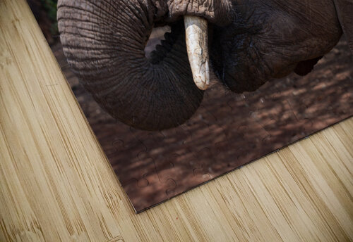 Orphaned elephants rehab center Sheldrick wildlife Randy Roy Photography puzzle