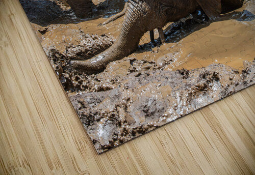 Orphaned elephants rehab center Sheldrick wildlife Randy Roy Photography puzzle