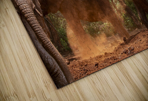 Orphaned elephants rehab center Sheldrick wildlife Randy Roy Photography puzzle
