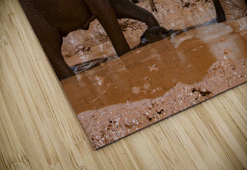 Orphaned elephants rehab center Sheldrick wildlife Randy Roy Photography puzzle