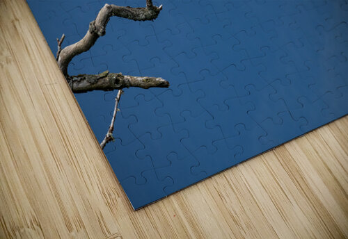 Great blue heron Pitt lake B.C Randy Roy Photography puzzle