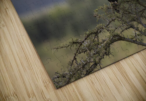 Eagle Lake Nakuru kenya Randy Roy Photography puzzle