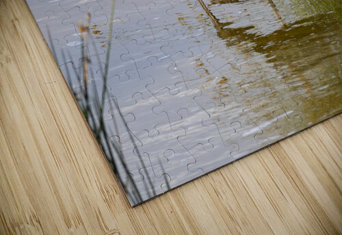 White faced Ibis Sweetwaters kenya Randy Roy Photography puzzle