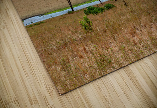 Tarangire National Park Tanzania Africa Randy Roy Photography puzzle