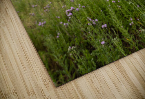 E.C Manning Provincial Park British Columbia Randy Roy Photography puzzle