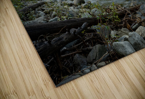 Cambie Creek E.C. Manning Provincial Park B.C Randy Roy Photography puzzle