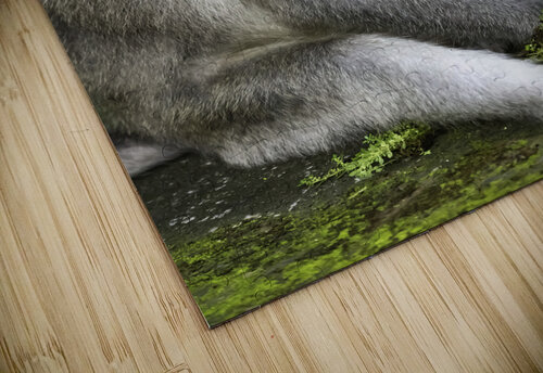 Monkey Forest Bali Randy Roy Photography puzzle