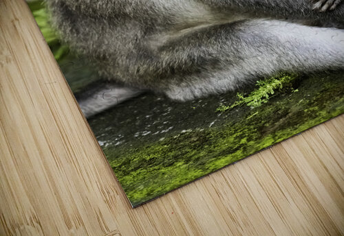 Monkey Forest Bali Randy Roy Photography puzzle