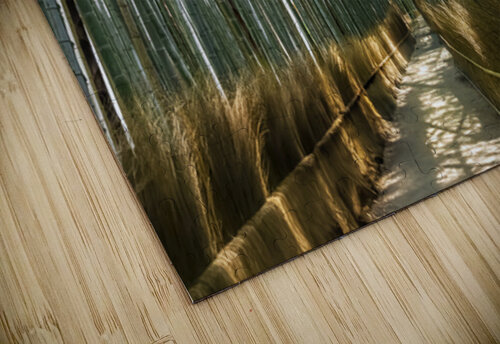 Bamboo forest Kyoto Japan Randy Roy Photography puzzle