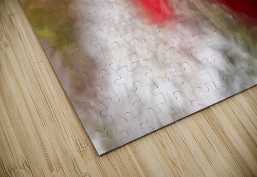 Poppy ICM Randy Roy Photography puzzle