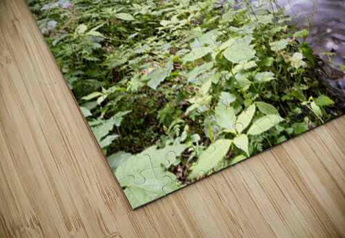 Bridal falls creek Randy Roy Photography puzzle