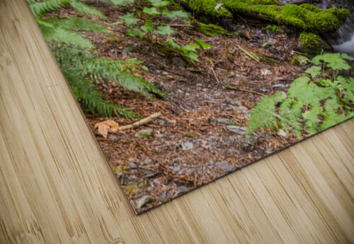 Bridal Veil Falls British Columbia Creek Randy Roy Photography puzzle