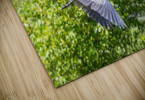 rifel bird sanctuary Randy Roy Photography puzzle