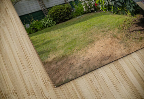 Fort Langley CN Train Station Fort Langley B.C Canada Randy Roy Photography puzzle