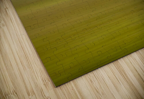  On the lake bog Houston trail Fort Langley Britsh Columbia Canada Randy Roy Photography puzzle