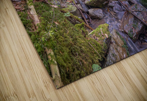 Bridal Creek Chilliwack British Columbia Randy Roy Photography puzzle