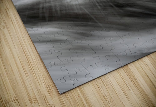 La Tahiti Peteete Tahiti Randy Roy Photography puzzle