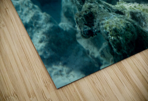 Convict Tang Randy Roy Photography puzzle