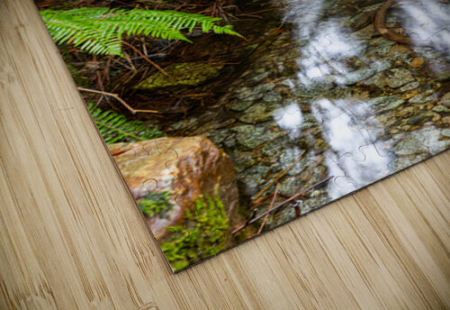 Flowing Creek at golden ears provincial Park British Columbia 2. Randy Roy Photography puzzle