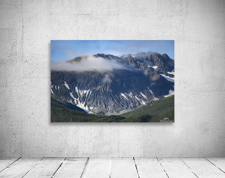 Glacier bay Alaska Wall Preview