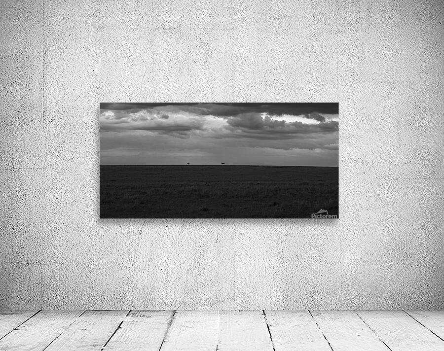 Ashnil Masai Mara Wall Preview