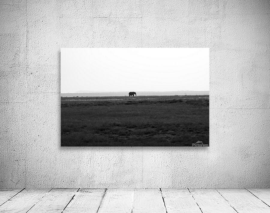 Elephant Amboseli National Park Kenya Wall Preview